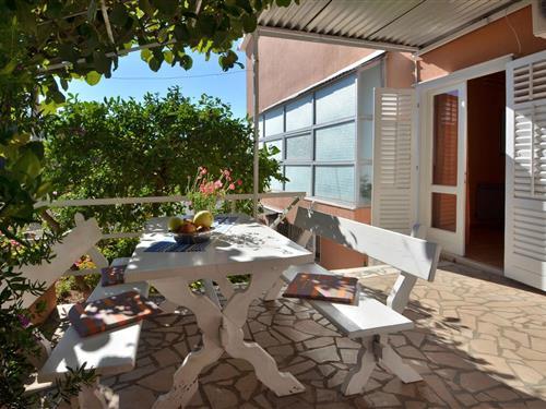 Holiday apartment - 4 persons -  - 20250 - Orebic