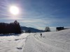 Bild 50