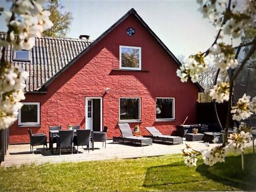 Holiday home - 6 persons -  - Dyndebyvejen 6, 1 B - Dueodde - 3730 - Nexø