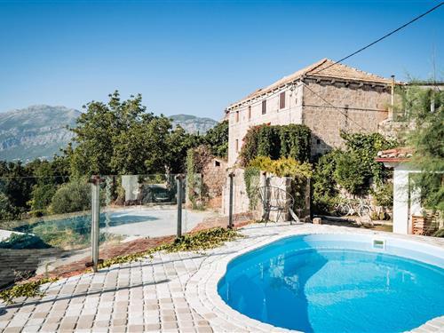 Ferielejlighed - 4 personer -  - Radovcici Gornje Selo - Dubrovnik-Gruda - 20215 - Gruda