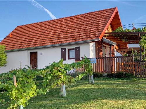 Holiday Home/Apartment - 4 persons -  - Kellergasse - 7551 - Stegersbach