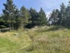 Billede 21 - Grund