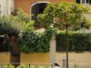 Bild 42