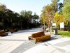 Billede 21