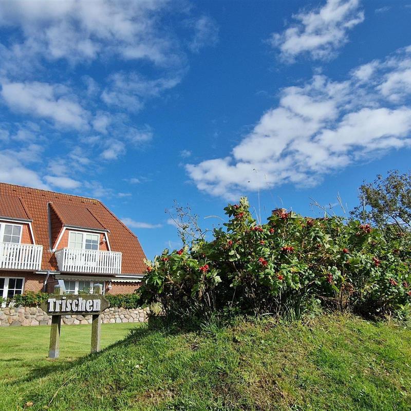 Ferielejlighed - 4 personer -  - Kirchenstraße - 25826 - St. Peter-Ording