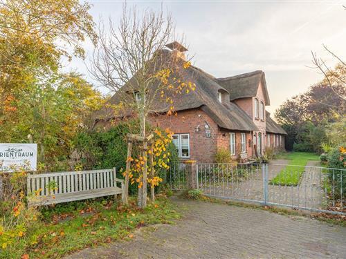 Ferienhaus - 6 Personen -  - Parkweg - 25889 - Witzwort