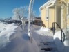 Bilde 2