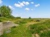 Billede 21 - Grund