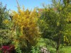 Bild 18