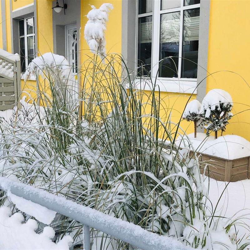 Ferielejlighed - 4 personer -  - Vinetastraße - 17419 - Ahlbeck (Seebad)