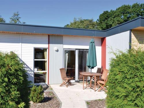 Ferienhaus - 4 Personen -  - Seeigel - Süssauer Strand/Ostsee - 23777 - Süssau/Ostsee