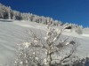 Billede 37