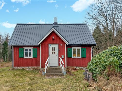 Sommerhus - 6 personer -  - Matteröds-Svenstorp - Svenstorp/Tyringe - 282 91 - Tyringe