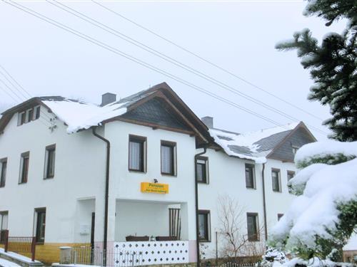 Ferielejlighed - 5 personer -  - 08262 - Muldenhammer