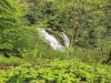 Image 34