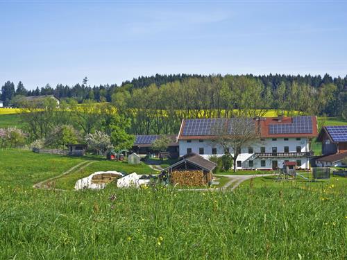 Feriehus / leilighet - 4 personer -  - Ischl - 83370 - Seeon-Seebruck