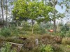 Bild 17