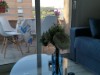 Billede 39