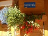 Billede 35