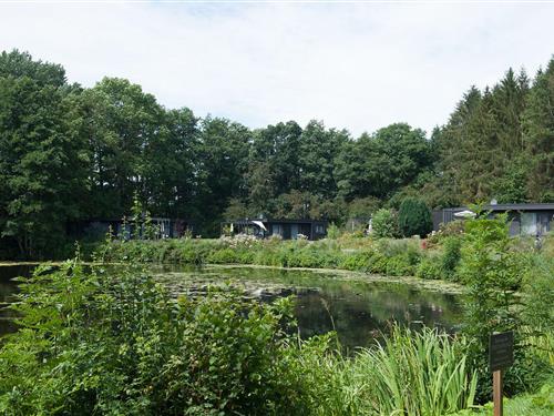 Sommerhus - 3 personer -  - Gronenberger Mühle - 23684 - Scharbeutz