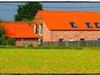 Afbeelding 8