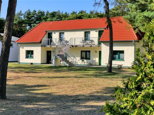 Ferielejlighed - 4 personer -  - Hinter der Düne - Ferienappartement - Juliusruh - 18556 - Altenkirchen