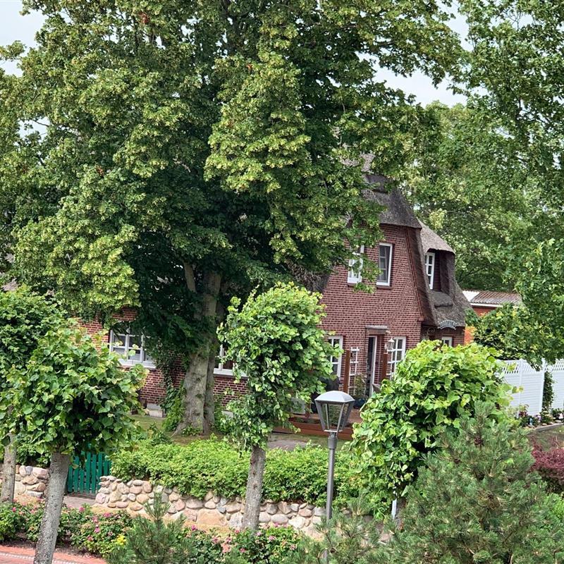 Ferielejlighed - 3 personer -  - Dorfstraße - 25826 - St. Peter-Ording