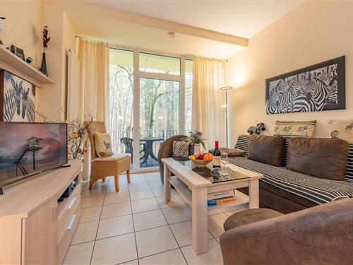 Semesterlägenhet - 4 personer -  - Seestraße - 17459 - Zempin