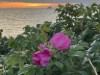 Bild 67