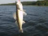 Billede 28