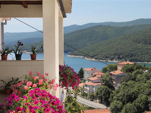 Holiday Home/Apartment - 2 persons -  - Rabac - 52221 - Rabac