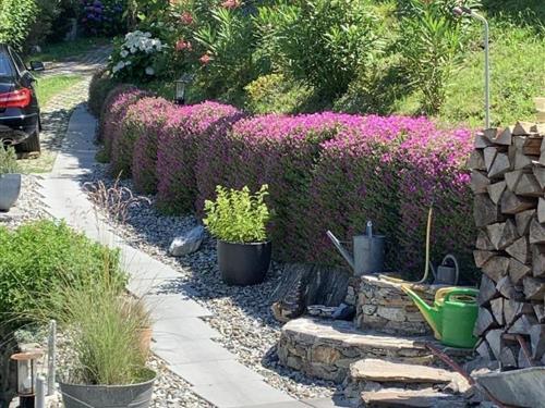 Fritidshus - 4 personer -  - Bellinzona - 6500