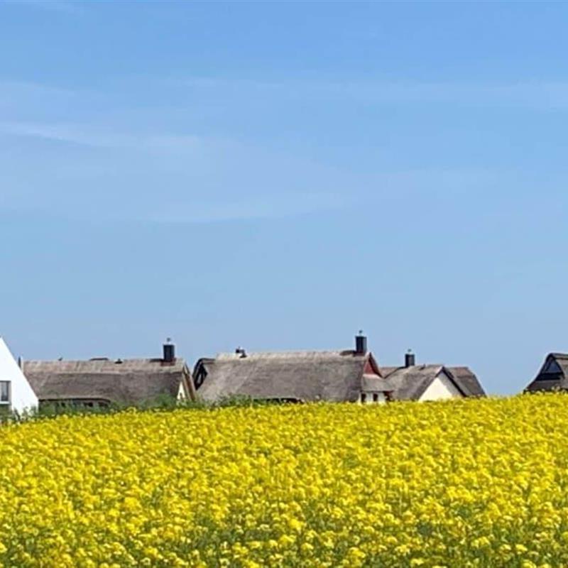 Ferielejlighed - 7 personer -  - 23942 - Groß Schwansee