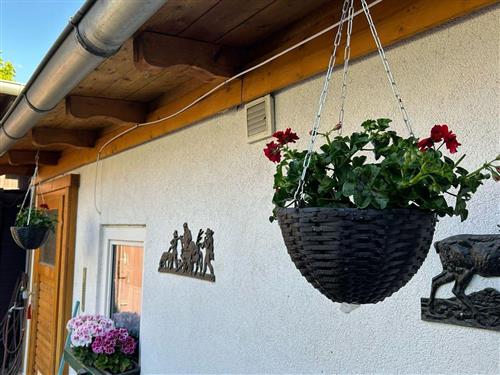 Ferieleilighet - 2 personer -  - Bucht - 06502 - Thale