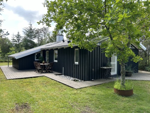 Ferienhaus - 6 Personen -  - Elvervej - Napstjärt - 9982
