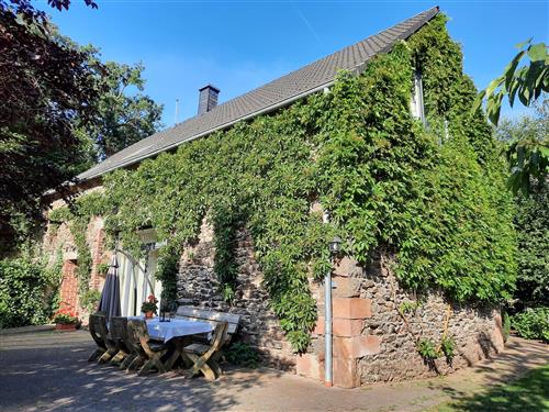 Sommerhus - 10 personer -  - Lenzenhaus - 54531 - Wallscheid
