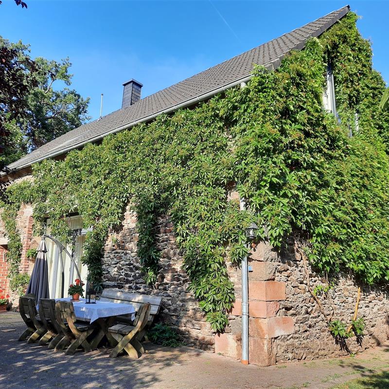 Sommerhus - 10 personer -  - Lenzenhaus - 54531 - Wallscheid