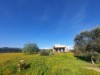 Bild 34 - Ude