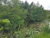 Bild 20 - Blick über's Wasser