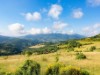 Billede 34