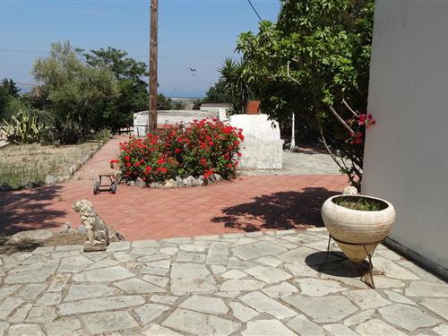 Værelse - 2 personer -  - POB - 853 00 - Amaniou / Insel Kos