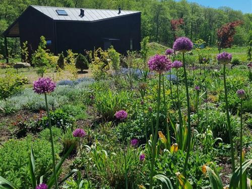 Sommerhus - 6 personer -  - Choczewo - 84-210