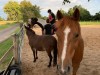 Bild 18