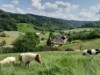 Bild 16