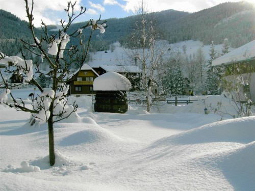 Bauernhof - 4 Personen -  - Dorfstraße - 9546 - Bad Kleinkirchheim