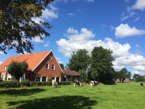 Ferienhaus - 18 Personen -  - Backemoorer Strasse - 26817 - Backemoor