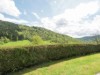 Image 25