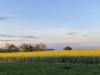 Image 29
