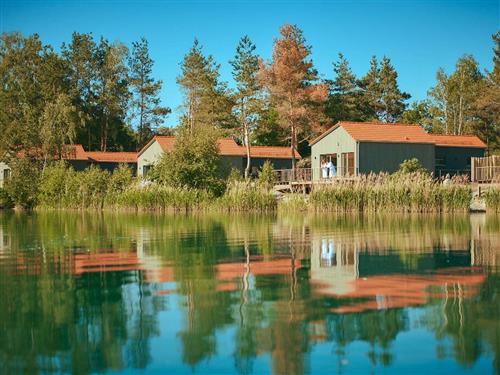 Ferienhaus - 4 Personen -  - In der Oder - 92449 - Steinberg