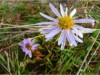 Bild 20
